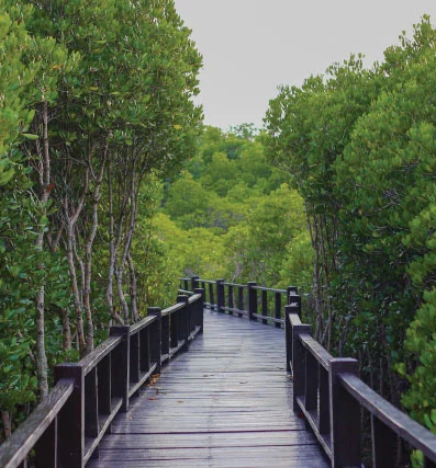 Elevated boardwalk through landscaped greens at Raunak Earth Park